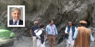 Isphanyar Bhandara Appeals PM Shehbaz for Construction of Road in Upper Birir Valley
