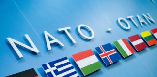 Upcoming NATO Summit: What to Expect? Western Strategic Leadership and Support for Ukraine
