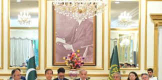 PM Sharif vows to revamp Pakistan’s economy by emulating Chinese model