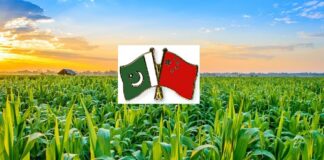 Pakistan-China Trade Conference at FoodAg 2024 Highlights Agricultural Collaboration and Investment Opportunities