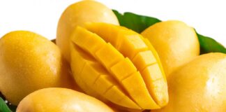Pakistani Mango Reached Uzbekistan in Six Days Record Time