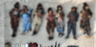 Pakistani Forces Kill 12 Terrorists in North & South Waziristan