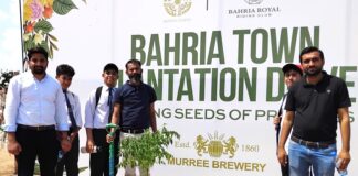 Murree Brewery Participates in Green Pakistan Initiative of PM & CM Punjab