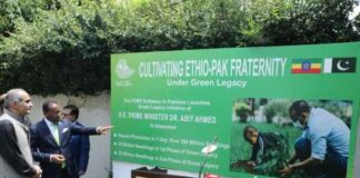 Addis Ababa’s Green Legacy Initiative: A Journey from Deforestation to Reforestation