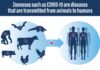 COMSTECH Organizes Webinar on A One Health Approach to COMSTECH Organizes Webinar on A One Health Approach to Zoonotic Outbreaks