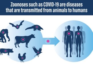 COMSTECH Organizes Webinar on A One Health Approach to COMSTECH Organizes Webinar on A One Health Approach to Zoonotic Outbreaks