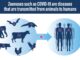 COMSTECH Organizes Webinar on A One Health Approach to COMSTECH Organizes Webinar on A One Health Approach to Zoonotic Outbreaks