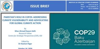 29th Conference of the Parties (COP29), Baku, Azerbaijan – A Critical Moment for Global Climate Action