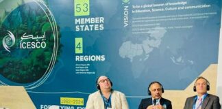 Chairman NDMA Participates in Global Climate Finance Panel at ICESCO Pavilion