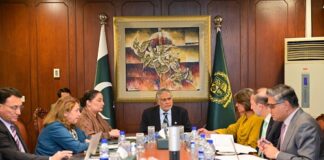 Deputy Prime Minister Pakistan Chairs Meeting on COP29