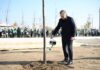 Uzbekistan Yashil Makon – Green Space Project Launched by President Becomes Real People’s Movement