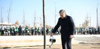 Uzbekistan Yashil Makon – Green Space Project Launched by President Becomes Real People’s Movement