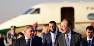 Prime Minister Pakistan arrives in Cairo for D-8 Summit