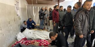 Palestine Warns of the Dangers of Racist Israeli calls to Displace Citizens from the Gaza Strip