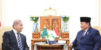 Prime Minister Shehbaz Sharif meets with President Prabowo Subianto of Indonesia