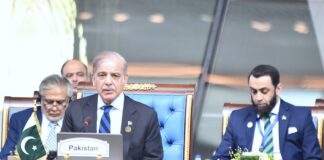 D-8 Summit, Cairo : Pakistan for Youth, SMEs as key drivers of Economic Development – PM Congratulates Egypt Gov, Welcomes Azerbaijan