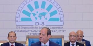 President of Egypt Suggests Ways to Enhance Cooperation between Developing Countries while Facing International Challenges