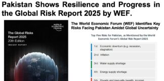 Pakistan Shows Resilience and Progress in the Global Risk Report 2025 by World Economic Forum