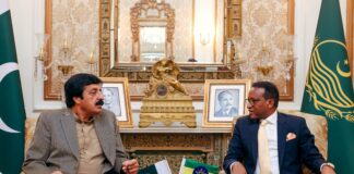 Ambassador Dr. Jemal Calls on Governor of Punjab, Pakistan