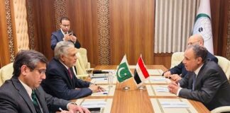 Pakistan Egypt Reaffirm their Opposition to Displacement of Palestinians from Homeland