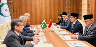 Pakistan Indonesia FMs Meet in Jeddah – Discuss Deepening the Bilateral Cooperation