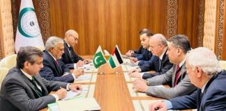 DPM/FM Pakistan Expresses Solidarity in Meeting with PM/FM of Palestine