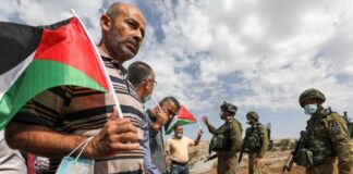 Palestine Calls for Withdrawal of Occupation from Gaza and Gov to Assume Duties , End Nakba of the People