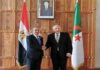 Egyptian Foriegn Minister Visits Algeria – Hands over Message of President Al-Sissi to President Tebboune – Discusses Strengthening of Cooperation with Counterpart