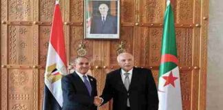 Egyptian Foriegn Minister Visits Algeria – Hands over Message of President Al-Sissi to President Tebboune – Discusses Strengthening of Cooperation with Counterpart
