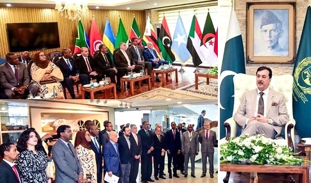 Senate Declares 25th May as Pakistan-Africa Friendship Day – Upper House  Expresses Strong Desire to Enhance Cooperation – Envoys visit the  Parliament House | Pakistan In the World
