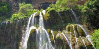 Discover Uzbekistan’s Untouched Destinations: Hidden Treasures of Eco-Tourism