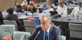 Morocco suggests neutralization of growing strategic dangers and threats with the creation of a common and indivisible security infrastructure