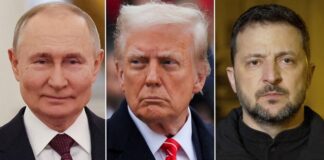 Russian peace signals: diplomacy or a political trap?