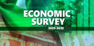 CPEC accelerates connectivity: $6.7 billion in transport projects completed : Economic Survey