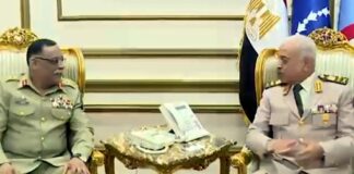 Chairman Joint Chiefs Pakistan Meets President el-Sisi and Defense Officials of Egypt