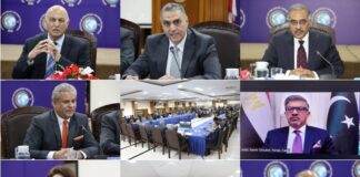 PAIDAR & ISSI Celebrate Egypt’s Revolution Day ! Speakers Shed Light on Strong Bilateral Relations ! The Country’s Special Place in Africa