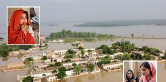 Stand Alone or Stand Down: The Future of Pakistan’s National Emergency Health Services – by Dr Sabeena Imran Durrani