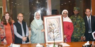 Parliamentary Friendship Group Seeks Support from Rwanda on Kashmir Dispute