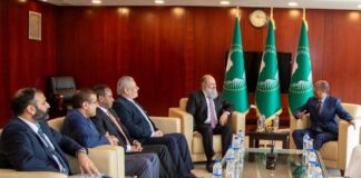 Pakistani Minister and African Unity Chairperson Discuss Strengthening Partnership