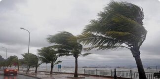 Morocco Ramps Up Mobilization Efforts In Line With High Royal Instructions to Face Weather Disturbances in Cold Season