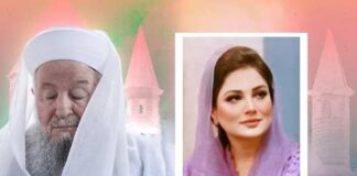 Dr. Afshan Malik Blessed with Another Khilafat of a Renown Turkish Scholar Mahmud Effendi Hazretleri