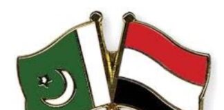 Pakistan urges UN Security Council to act unitedly to end prolonged conflict in Yemen