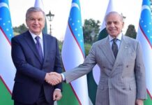 Uzbekistan and Pakistan: Building an Industrial and Investment Corridor between Central and South Asia