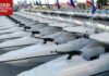 Iran’s ultimate weapon to choke the Strait of Hormuz