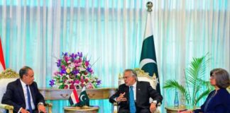 Pak Egypt Foreign Ministers Discuss Situation in Middle East | Call for Restraint, Resolution of Conflict through Dialogue