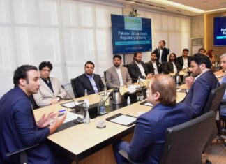 PVARA announces establishment of formal consultative group on virtual assets regulatory framework
