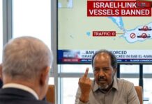 Somalia Announces Ban on Israeli-Linked Ships in Bab al – Mandeb Strait