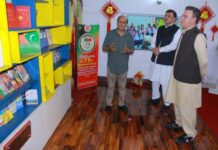 China Window Emerging as Strong Symbol of Pakistan-China Friendship, Says DG MOFA