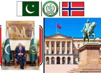 President and Ministry of Foreign Affairs of Pakistan Felicitates Norway on Constitution Day
