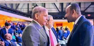 Prime Ministers of Ethiopia and Pakistan Reaffirm Strong Bilateral Ties